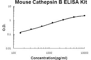 Mouse Cathepsin B Accusignal ELISA Kit Mouse Cathepsin B AccuSignal ELISA Kit standard curve. (Cathepsin B Kit ELISA)