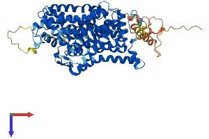 AlphaFold protein structure predicition of Mouse Recombinant Slc6a7 Protein, UniprotID Q6PGE7