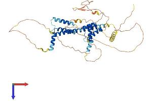 AlphaFold protein structure predicition of Mouse Recombinant Pknox2 Protein, UniprotID Q8BG99