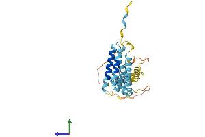 AlphaFold protein structure predicition of Human Recombinant YIPF4 Protein, UniprotID Q9BSR8