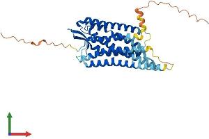 AlphaFold protein structure predicition of Mouse Recombinant Ffar4 Protein, UniprotID Q7TMA4