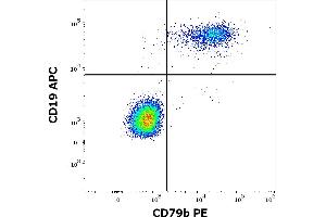 Flow cytometry multicolor surface staining of human lymphocytes stained using anti-human CD79b (CB3-1) PE antibody (10 μL reagent / 100 μL of peripheral whole blood) and anti-human CD19 (LT19) APC antibody (10 μL reagent / 100 μL of peripheral whole blood). (CD79b anticorps  (PE))