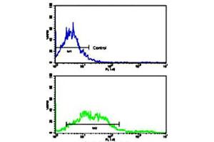 Flow cytometric analysis of NCI-H292 cells using EPHA2 polyclonal antibody (bottom histogram) compared to a negative control cell (top histogram). (EPH Receptor A2 anticorps  (N-Term))