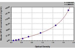 Typical Standard Curve (Surfactant Protein C Kit ELISA)
