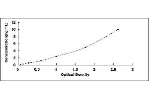 Typical standard curve
