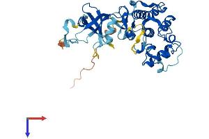 AlphaFold protein structure predicition of Human Recombinant CDK10 Protein, UniprotID Q15131
