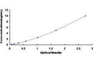 ELISA image for Cyclin-Dependent Kinase Inhibitor 3 (CDKN3) ELISA Kit (ABIN418070)