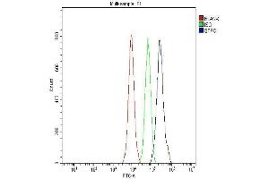 Flow Cytometry analysis of 293T cells using anti-SFPQ antibody (ABIN7603089). (SFPQ anticorps  (Middle Region))