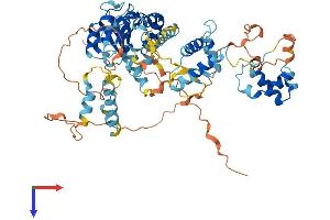 AlphaFold protein structure predicition of Mouse Recombinant Pogk Protein, UniprotID Q80TC5