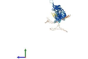 AlphaFold protein structure predicition of Mouse Recombinant Cnnm4 Protein, UniprotID Q69ZF7