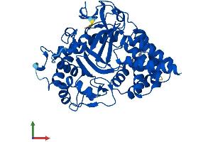 AlphaFold protein structure predicition of Mouse Recombinant Smyd3 Protein, UniprotID Q9CWR2