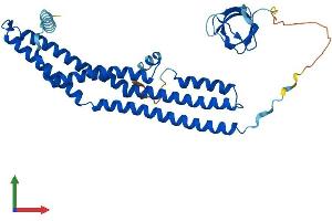 AlphaFold protein structure predicition of Mouse Recombinant Sh3gl3 Protein, UniprotID Q62421