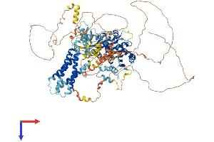 AlphaFold protein structure predicition of Human Recombinant DAGLA Protein, UniprotID Q9Y4D2