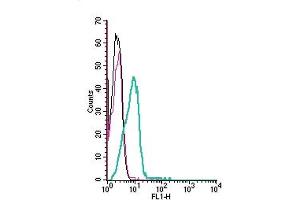 Cell surface detection of KV1.