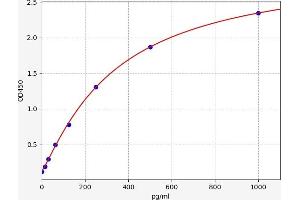 Typical standard curve (FGF22 Kit ELISA)