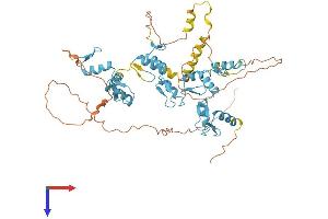 AlphaFold protein structure predicition of Human Recombinant ZNF775 Protein, UniprotID Q96BV0