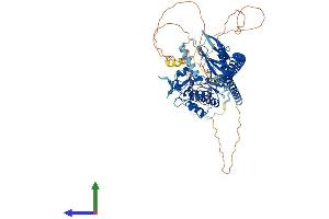 AlphaFold protein structure predicition of Mouse Recombinant Tlk1 Protein, UniprotID Q8C0V0