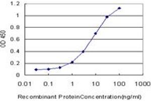 Detection limit for recombinant GST tagged CDK4 is approximately 0. (CDK4 anticorps  (AA 211-303))