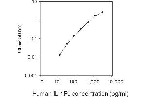 ELISA image for Interleukin 1 Family Member 9 (IL1F9) ELISA Kit (ABIN2703199) (IL1F9 Kit ELISA)
