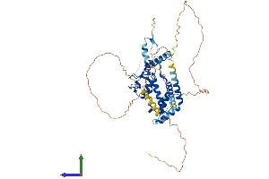 AlphaFold protein structure predicition of Human Recombinant RAD18 Protein, UniprotID Q9NS91