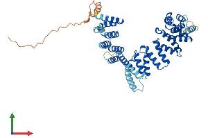 AlphaFold protein structure predicition of Human Recombinant TAF1A Protein, UniprotID Q15573