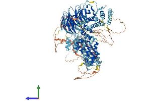 AlphaFold protein structure predicition of Mouse Recombinant Hps5 Protein, UniprotID P59438