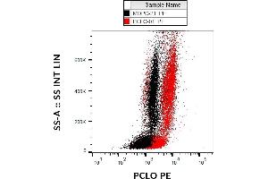 Flow cytometry analysis (intracellular staining) of PCLO in human peripheral blood using mouse monoclonal (PCLO-01) PE. (PCLO anticorps  (PE))