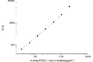 Typical standard curve (FOXC1 Kit CLIA)