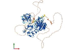 AlphaFold protein structure predicition of Mouse Recombinant Dnmt3a Protein, UniprotID O88508