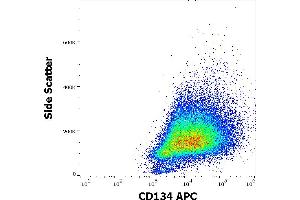 Flow cytometry surface staining pattern of human PHA stimulated peripheral blood mononuclear cells stained using anti-human CD134 (Ber-ACT35) APC antibody (10 μL reagent per milion cells in 100 μL of cell suspension).