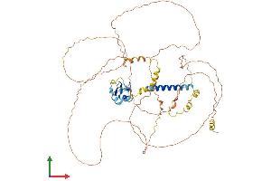AlphaFold protein structure predicition of Mouse Recombinant Pja1 Protein, UniprotID O55176