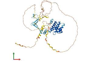 AlphaFold protein structure predicition of Human Recombinant CABLES2 Protein, UniprotID Q9BTV7
