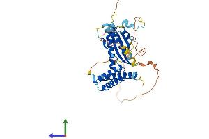 AlphaFold protein structure predicition of Human Recombinant SNX15 Protein, UniprotID Q9NRS6