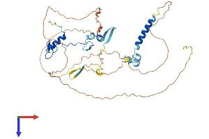 AlphaFold protein structure predicition of Mouse Recombinant Gpatch4 Protein, UniprotID Q3TFK5
