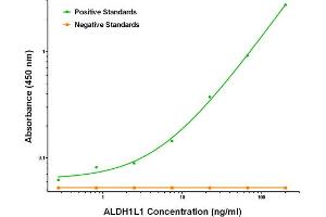 anti-Aldehyde Dehydrogenase 1 Family, Member L1 (ALDH1L1) antibody