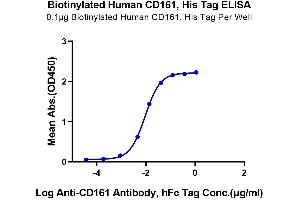 Immobilized Biotinylated Human CD161, His Tag at 1 μg/mL (100 μL/Well) on the plate.