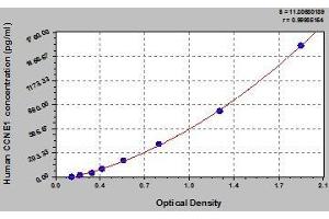 Typical standard curve (Cyclin E1 Kit ELISA)