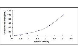 Complement Component 1, Q Subcomponent, B Chain (C1QB) ELISA Kit