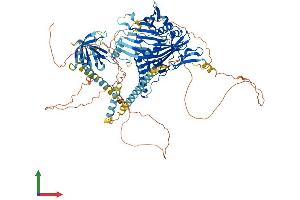 AlphaFold protein structure predicition of Human Recombinant OSBPL5 Protein, UniprotID Q9H0X9