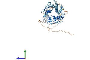AlphaFold protein structure predicition of Human Recombinant ZFP3 Protein, UniprotID Q96NJ6