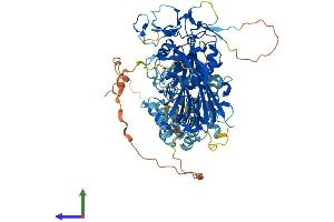 AlphaFold protein structure predicition of Mouse Recombinant Dgkg Protein, UniprotID Q91WG7