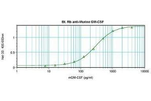 Image no. 1 for anti-Colony Stimulating Factor 2 (Granulocyte-Macrophage) (CSF2) antibody (Biotin) (ABIN464929)