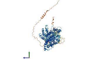 AlphaFold protein structure predicition of Mouse Recombinant Slc4a1 Protein, UniprotID P04919