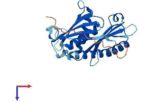 AlphaFold protein structure predicition of Human Recombinant EXOSC5 Protein, UniprotID Q9NQT4