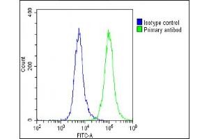 Overlay histogram showing U-87 MG cells stained with (ABIN6243047 and ABIN6578879)(green line).