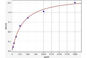 Fms-Related tyrosine Kinase 1 (VEGFR1) (FLT1) ELISA Kit