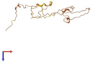AlphaFold protein structure predicition of Mouse Recombinant Smcp Protein, UniprotID P15265