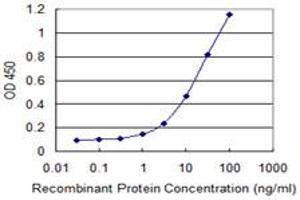 Detection limit for recombinant GST tagged NT5E is 0. (CD73 anticorps  (AA 28-264))