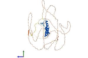 AlphaFold protein structure predicition of Human Recombinant SRF Protein, UniprotID P11831