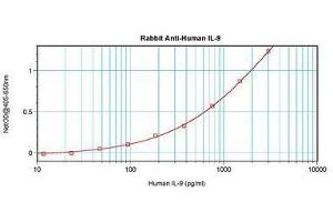 Image no. 3 for anti-Interleukin 9 (IL9) antibody (ABIN465896) (IL-9 anticorps)